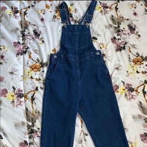 Skinny Jean Overalls